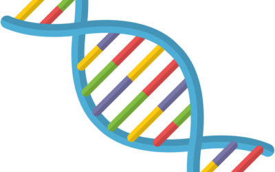 Do You Understand your Firm’s DNA?  What Are the Good and the Bad Bits?