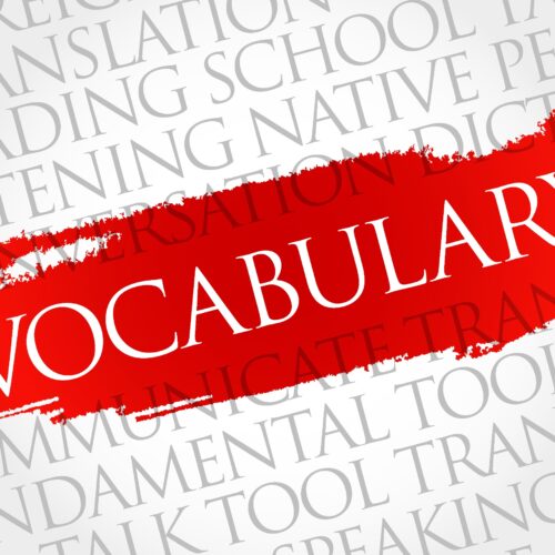 Client Growth: Use a Client’s Vocabulary and not a Lawyer’s Vocabulary